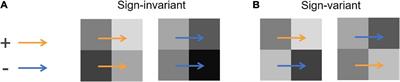 Simple Assumptions to Improve Markov Illuminance and Reflectance